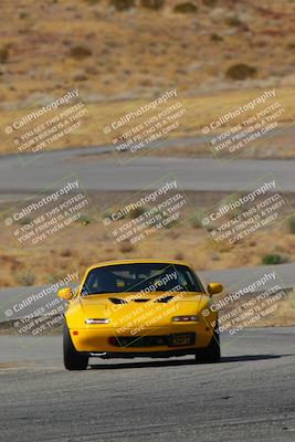 media/Feb-22-2025-Team Topak Racing (Sat) [[cb57a51a40]]/Intermediate Low1/Turns 13 and 14/